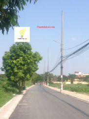 1f919cf60f29ef77b638 1