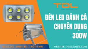 den led danh ca 300w chuyen dung 2