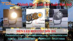 den led roi cot 30w 1