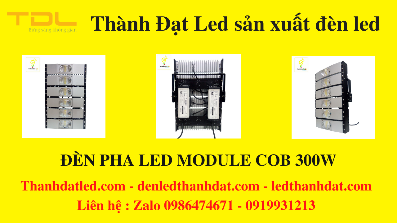 đèn pha Philips OEM 300w