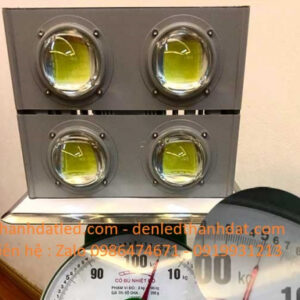 den danh ca 200w led