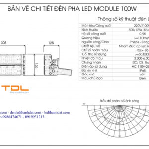 den module led 100w
