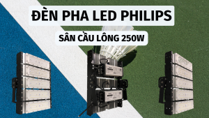 đèn pha module sân cầu lông 250w