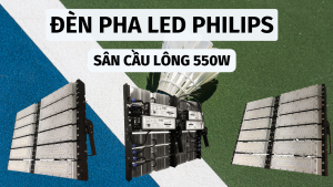 đèn pha module sân cầu lông 550w