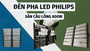 đèn pha module sân cầu lông 800w