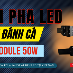 Đèn LED đánh cá 100w module Bridgelux 4 đèn led đánh cá 50w
