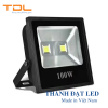 Đèn Pha LED 100w Ngoài Trời (TDLF-RIP66100)