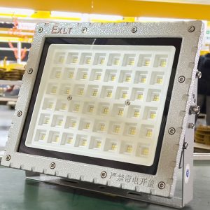 Đèn pha led chống cháy nổ SMD 100w (TDL-GCK) Thành Đạt Led