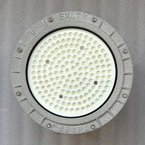 Đèn Led Nhà Xưởng Chống Cháy Nổ 100w (TDL-WF1) Thành Đạt Led