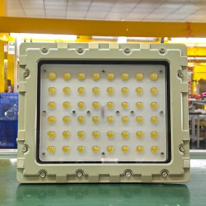 Đèn chống cháy nổ 100w (TDL-GJK-TGD) Thành Đạt Led