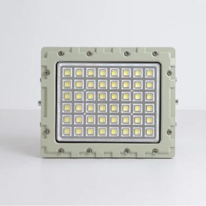 Đèn chống cháy nổ 70w (TDL-GJK-TGD) Thành Đạt Led