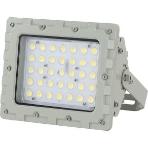 Đèn chống cháy nổ 50w (TDL-GJK-TGD) Thành Đạt Led