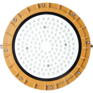 Đèn Highbay Chống Nổ 100w (TDL-WF2) Thành Đạt Led
