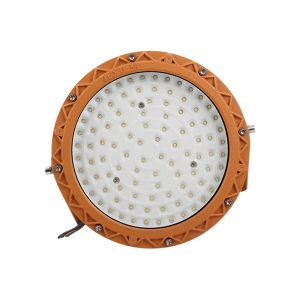 Đèn Chống Nổ 100w (TDL-YFGKD) Thành Đạt Led