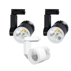 Đèn Rọi Ray Rọi Cao Cấp 12W (TDL-DR12) Thành Đạt Led