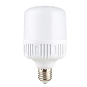 Đèn bulb trụ nhựa 10W (TDL-DBN10) Thành Đạt Led
