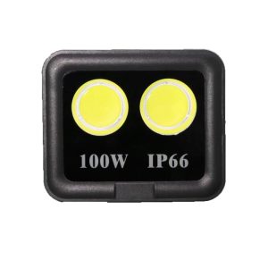 Đèn Pha Led Sân Bóng Giá Rẻ 100w (TDLFC-T100) Thành Đạt Led