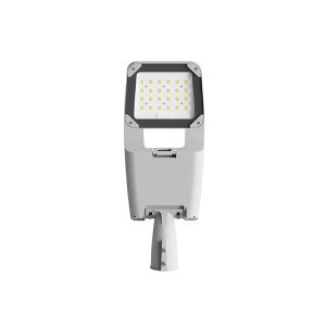 Đèn đường phố cao cấp 30w (TDL-JZ) Thành Đạt Led