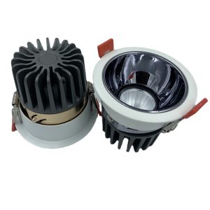 Đèn Led âm trần 15w cao cấp φ75mm (TDL-PCR-01-15) Thành Đạt Led