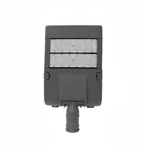 Đèn Đường Led 100w (TDL-LDT) Thành Đạt Led